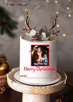 merry-christmas-wishes-photo-cake-edit-with-name