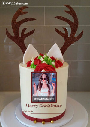 reindeer-christmas-wishes-cake-for-love-with-name-and-photo-edit